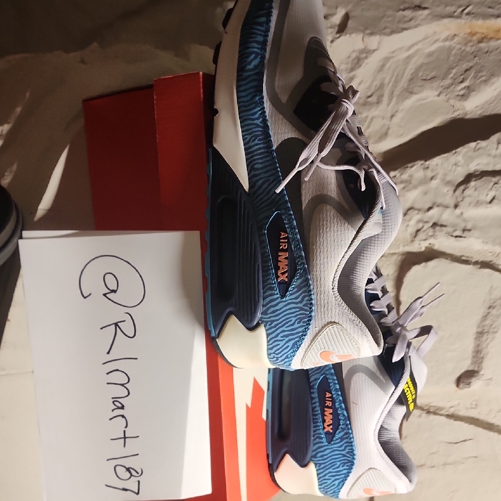 Nike Air Max with Blue and Black Highlights